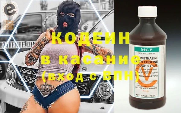 шишки Белоозёрский